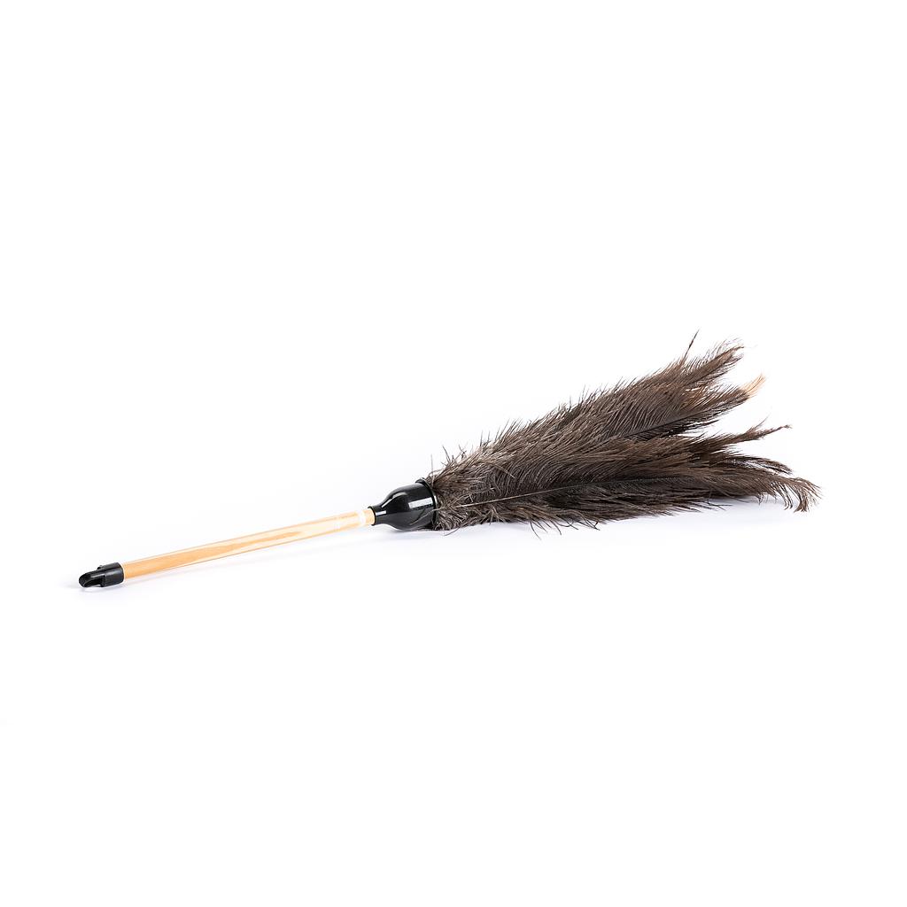 Ostrich feather duster